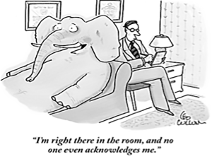 Elephant-in-the-Room1-300x225.png